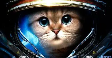 Funny Science Fiction Pictures