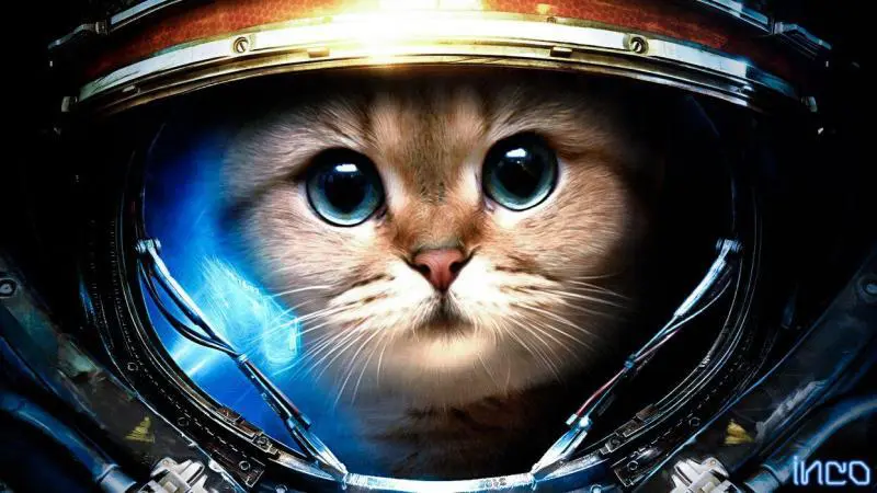 Funny Science Fiction Pictures