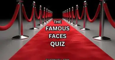The Famous Faces Quiz . Identity The Celebrity Questions
