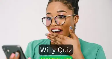 The Willy Quiz Family Safe Questions