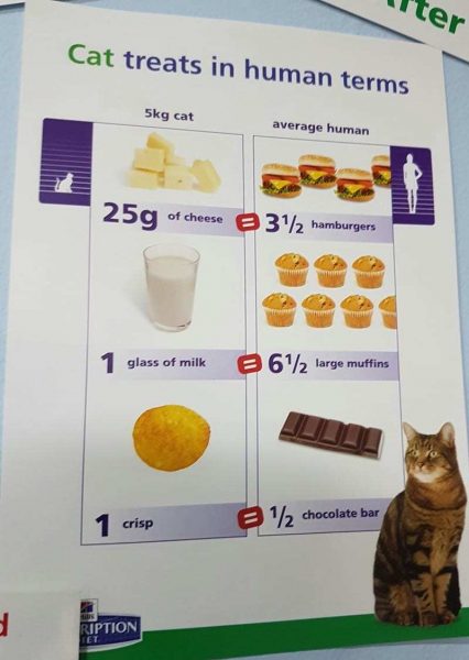 ci-cat-treat-poster