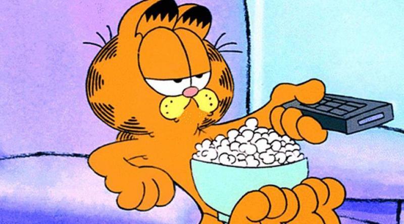 Cat cartoon quiz Garfield