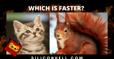 Which is Faster Quiz Nature Edition