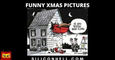 The best funny Xmas pictures
