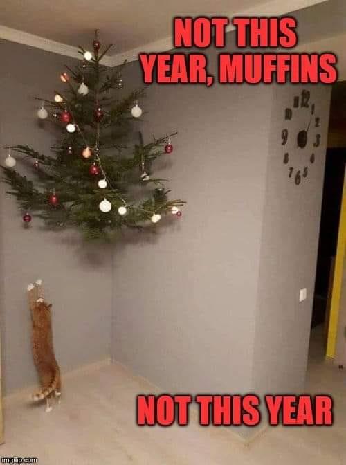 Cats proof Christmas tree