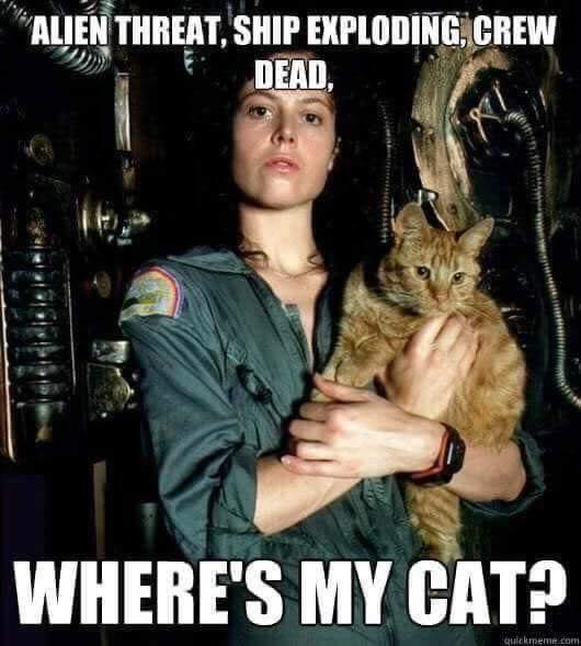 Funny Science Fiction the cat in alien