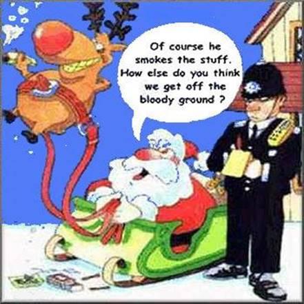 Xmas Funny q Pictures t