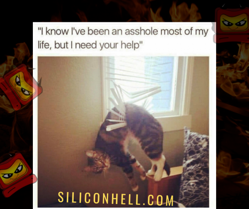 Cat stuck in blinds at Silicon Hell 